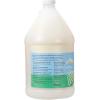 Ginger Lily Farms Botanicals Plant-Based Dishwasher Detergent Gel, 100% Vegan & Cruelty-Free, Fragrance-Free, 1 Gallon (128 Fl Oz) Refill(Fragrance Free)
