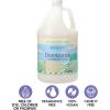 Ginger Lily Farms Botanicals Plant-Based Dishwasher Detergent Gel, 100% Vegan & Cruelty-Free, Fragrance-Free, 1 Gallon (128 Fl Oz) Refill(Fragrance Free)