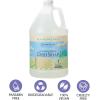 Ginger Lily Farms Botanicals Plant-Based Foaming Spray Dish Soap, Concentrated Formula with Max Grease Cleaning Power, Cruelty-Free, Fragrance-Free, 1 Gallon Refill (128 Fl Oz)(Fragrance Free)