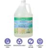 Ginger Lily Farms Botanicals Plant-Based Foaming Spray Dish Soap, Concentrated Formula with Max Grease Cleaning Power, Cruelty-Free, Fragrance-Free, 1 Gallon Refill (128 Fl Oz)(Basil)