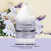Ginger Lily Farms Botanicals Shea Indulgence 24H Deep Hydration Body Lotion, Coco Mango, 100% Vegan & Cruelty-Free, Coconut Mango Scent, 1 Gallon (128 fl oz) Refill(Lavender Chamomile)