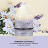 Ginger Lily Farms Botanicals Shea Indulgence Deep Hydration Body Wash, 100% Vegan & Cruelty-Free, Fragrance-Free, 1 Gallon (128 fl oz) Refill(Lavender Chamomile)