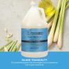 Ginger Lily Farms Botanicals Shea Indulgence Deep Hydration Liquid Hand Soap Refill, 100% Vegan & Cruelty-Free, Vanilla Sugar Bliss Scent, 1 Gallon (128 fl oz)(Island Tranquility)