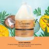 Ginger Lily Farms Botanicals Shea Indulgence Deep Hydration Liquid Hand Soap Refill, 100% Vegan & Cruelty-Free, Vanilla Sugar Bliss Scent, 1 Gallon (128 fl oz)(Coco Mango)