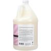 Ginger Lily Farms Botanicals Shea Indulgence Deep Hydration Liquid Hand Soap Refill, 100% Vegan & Cruelty-Free, Vanilla Sugar Bliss Scent, 1 Gallon (128 fl oz)(Vanilla Sugar Bliss)
