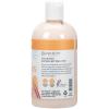 Ginger Lily Farms Botanicals Soothing Butter Lotion for Dry, Sensitive Skin, 100% Vegan & Cruelty-Free, Fragrance Free, 1 Gallon (128 fl oz) Refill (pack of 1)(Coco Mango)