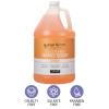 Ginger Lily Farms Club & Fitness Conditioning Liquid Hand Soap Refill, 100% Vegan & Cruelty-Free, Rain Water Scent, 1 Gallon (128 fl oz)(Citrus)