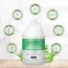 Ginger Lily Farms Club & Fitness Moisturizing Conditioner for Dry Hair, 100% Vegan & Cruelty-Free, Aloe Vera Scent, 1 Gallon (128 fl oz) Refill, white(Aloe Vera)