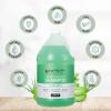 Ginger Lily Farms Club & Fitness Moisturizing Shampoo for All Hair Types, 100% Vegan & Cruelty-Free, Aloe Vera Scent, 1 Gallon Refill (Pack of 4)(Aloe Vera)