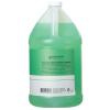 Ginger Lily Farms Club & Fitness Moisturizing Shampoo for All Hair Types, 100% Vegan & Cruelty-Free, Aloe Vera Scent, 1 Gallon Refill (Pack of 4)(Aloe Vera)