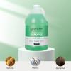 Ginger Lily Farms Club & Fitness Moisturizing Shampoo for All Hair Types, 100% Vegan & Cruelty-Free, Aloe Vera Scent, 1 Gallon Refill (Pack of 4)(Aloe Vera)
