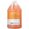 Ginger Lily Farms Club & Fitness Moisturizing Shampoo for All Hair Types, 100% Vegan & Cruelty-Free, Aloe Vera Scent, 1 Gallon Refill (Pack of 4)(Citrus)