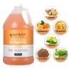 Ginger Lily Farms Club & Fitness Moisturizing Shampoo for All Hair Types, 100% Vegan & Cruelty-Free, Aloe Vera Scent, 1 Gallon Refill (Pack of 4)(Citrus)