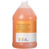Ginger Lily Farms Club & Fitness Moisturizing Shampoo for All Hair Types, 100% Vegan & Cruelty-Free, Aloe Vera Scent, 1 Gallon Refill (Pack of 4)(Citrus)