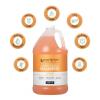 Ginger Lily Farms Club & Fitness Moisturizing Shampoo for All Hair Types, 100% Vegan & Cruelty-Free, Aloe Vera Scent, 1 Gallon Refill (Pack of 4)(Citrus)
