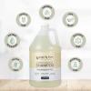 Ginger Lily Farms Club & Fitness Moisturizing Shampoo for All Hair Types, 100% Vegan & Cruelty-Free, Aloe Vera Scent, 1 Gallon Refill (Pack of 4)(Fragrance Free)