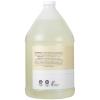 Ginger Lily Farms Club & Fitness Moisturizing Shampoo for All Hair Types, 100% Vegan & Cruelty-Free, Aloe Vera Scent, 1 Gallon Refill (Pack of 4)(Fragrance Free)