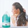 Ginger Lily Farms Club & Fitness Moisturizing Shampoo for All Hair Types, 100% Vegan & Cruelty-Free, Aloe Vera Scent, 1 Gallon Refill (Pack of 4)(Ocean Breeze)