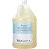 Ginger Lily Farms Club & Fitness Moisturizing Shampoo for All Hair Types, 100% Vegan & Cruelty-Free, Aloe Vera Scent, 1 Gallon Refill (Pack of 4)(Rain Water)