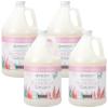 Ginger Lily Farms Botanicals All-Purpose Liquid Hand Soap, 100% Vegan & Cruelty-Free, Fragrance-Free, 12 fl oz (Pack of 6)(Vanilla Sugar Bliss)
