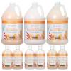 Ginger Lily Farms Botanicals Hospitality Kit, Island Tranquility, 9-Pc Set Includes Shampoo, Conditioner & Body Wash, 100% Vegan & Cruelty-Free, Green Tea Lemongrass Scent(Coco Mango)