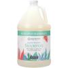 Ginger Lily Farms Botanicals Moisturizing Shampoo for All Hair Types, Coco Mango, 100% Vegan & Cruelty-Free, Coconut Mango Scent, 1 Gallon (128 fl oz) Refill(Eucalyptus Tranquility)
