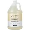 Ginger Lily Farms Club & Fitness Moisturizing Shampoo for All Hair Types, 100% Vegan & Cruelty-Free, Aloe Vera Scent, 1 Gallon Refill (Pack of 4)(Fragrance Free)
