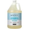 Ginger Lily Farms Club & Fitness Moisturizing Shampoo for All Hair Types, 100% Vegan & Cruelty-Free, Aloe Vera Scent, 1 Gallon Refill (Pack of 4)(Rain Water)